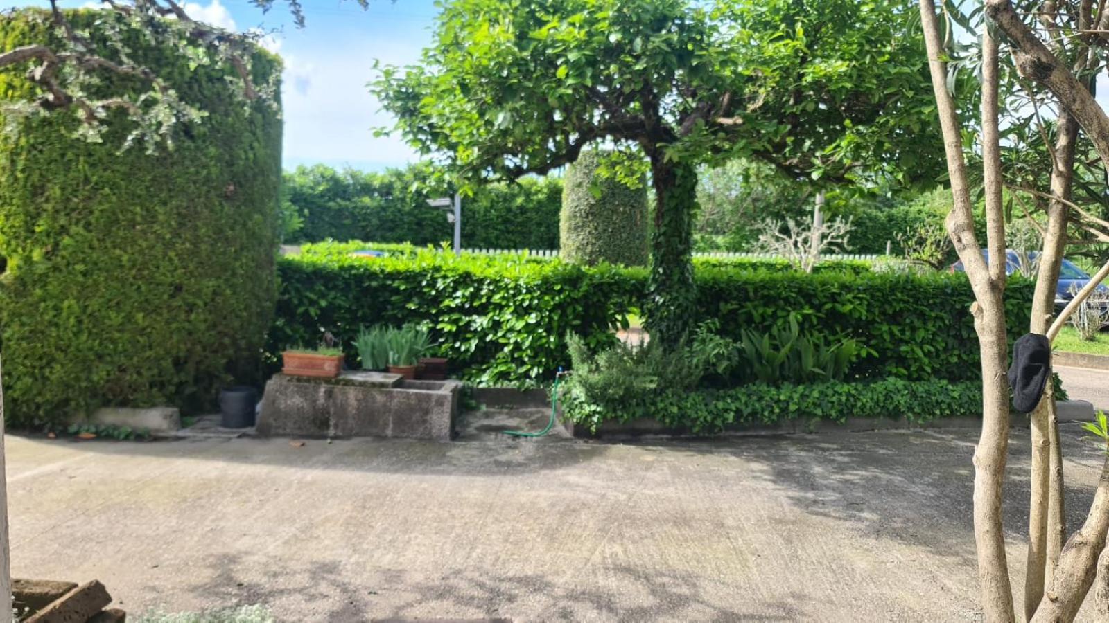 بادوفا B&B Via Del Cristo المظهر الخارجي الصورة